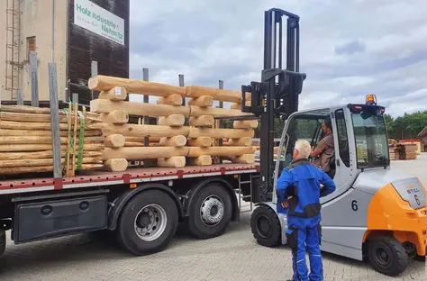 Lemn ecarisat tratat natural