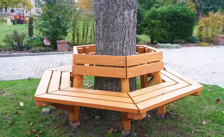 Bancă în jurul copacului