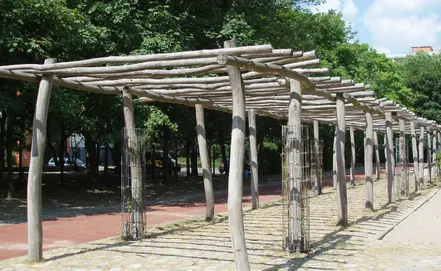 Pergolă naturală