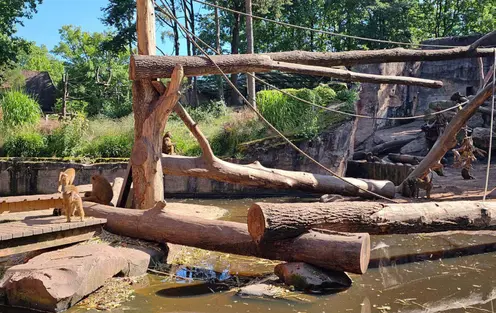 Stâlp salcâm pentru parc